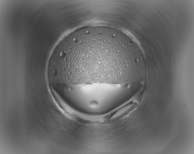 X0000073521429200608140948