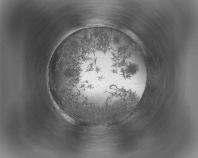 X0000073521431200608140948