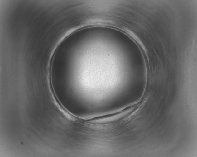 X0000073521437200608140949