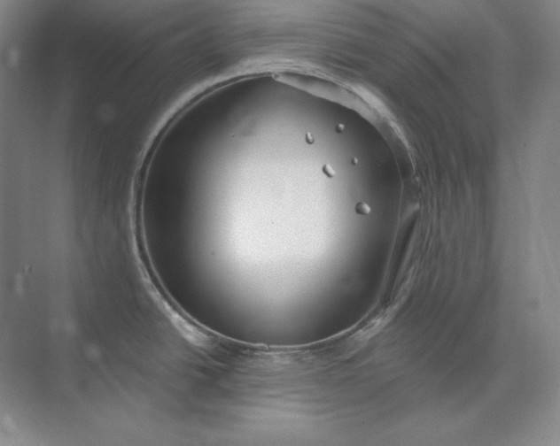 X0000073521438200608140949