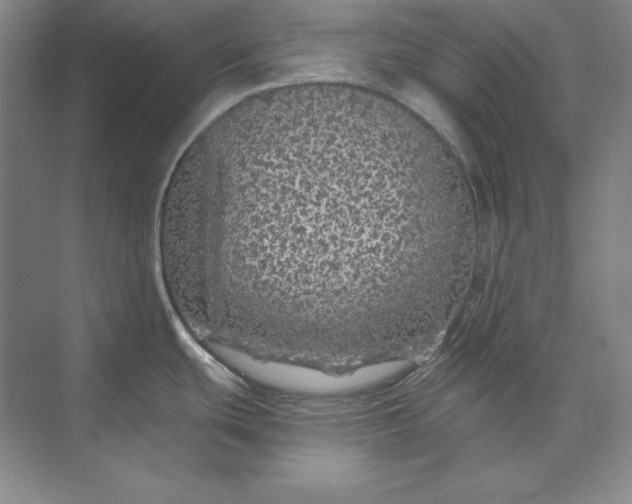 X0000073521439200608140949