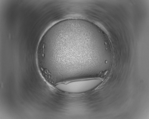 X0000073521440200608140949