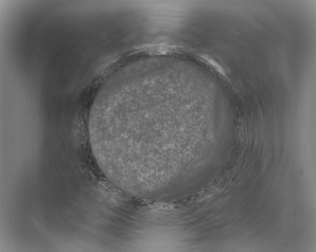 X0000073521446200608140948