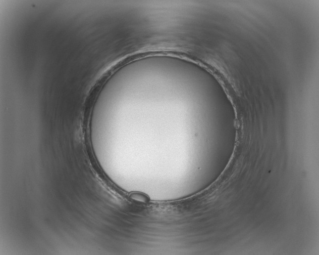 X0000073521452200608140948