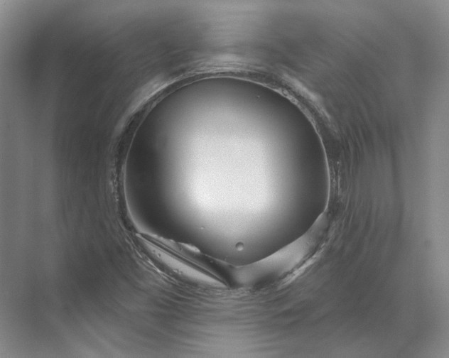 X0000073521453200608140948