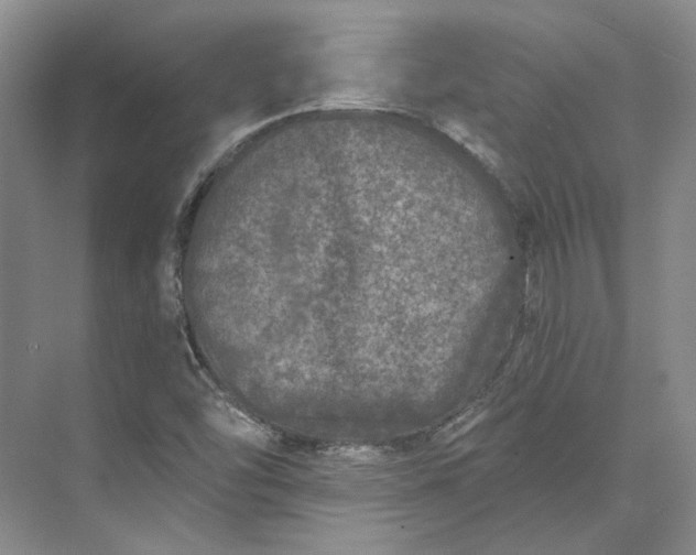 X0000073521454200608140948