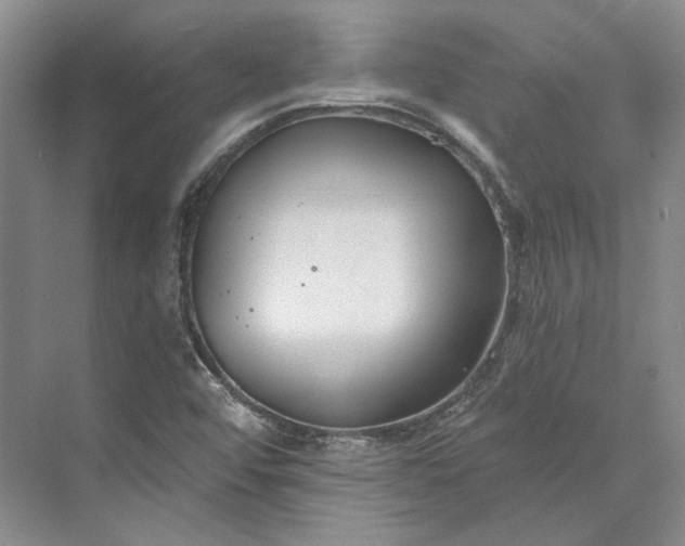 X0000073521456200608140948