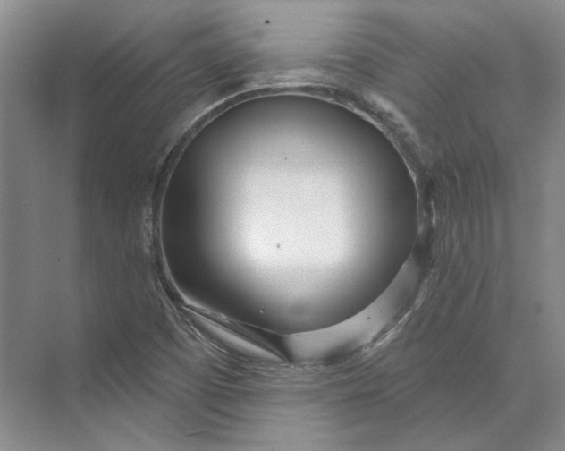 X0000073521457200608140948