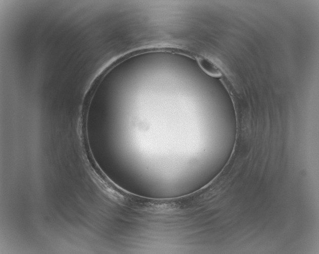 X0000073521460200608140947