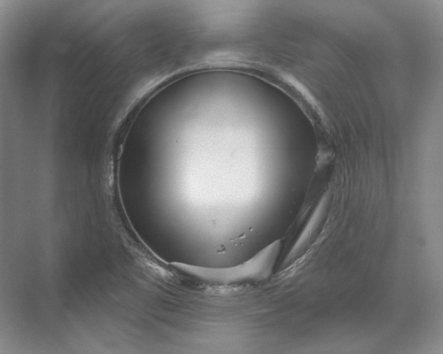 X0000073521461200608140947