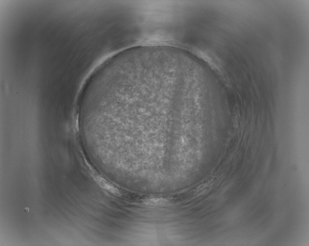 X0000073521462200608140947