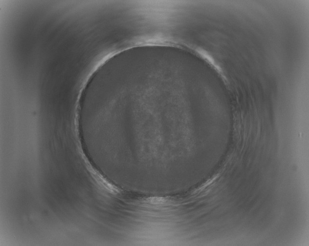 X0000073521463200608140947