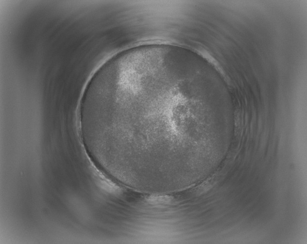 X0000073521466200608140947