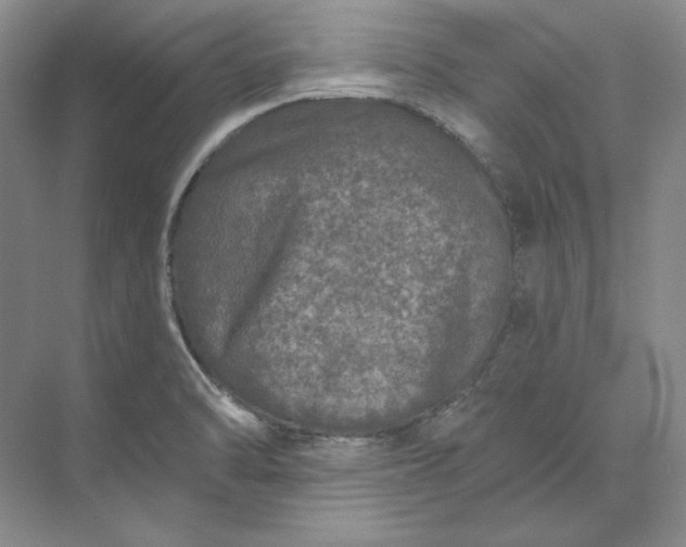 X0000073521470200608140947