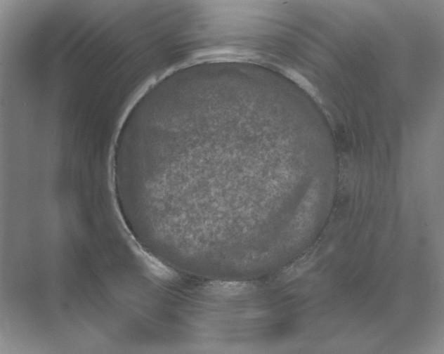 X0000073521474200608140947