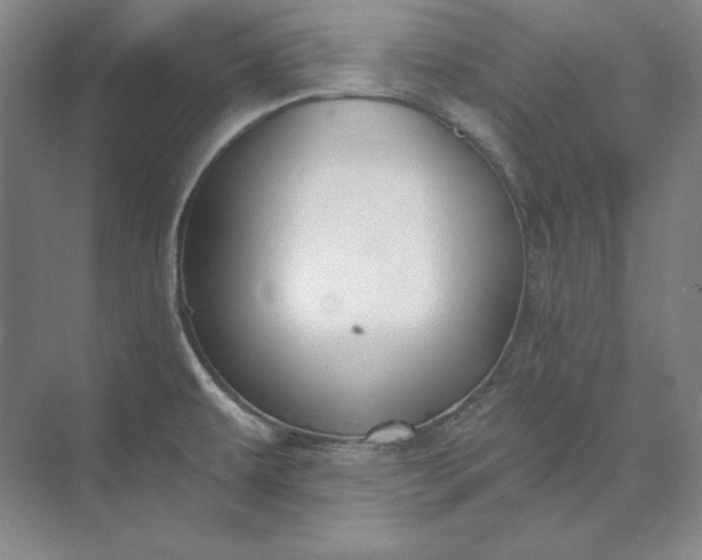 X0000073521479200608140947