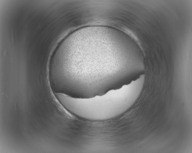 X0000073521480200608140947