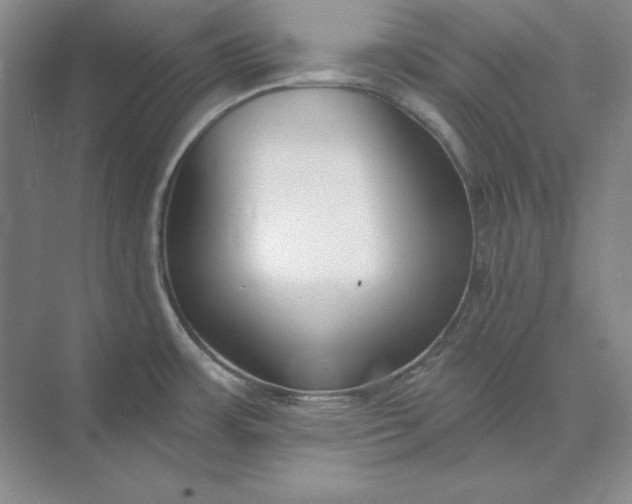 X0000073521483200608140947