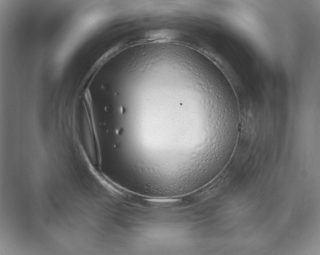 X0000073521487200608140947