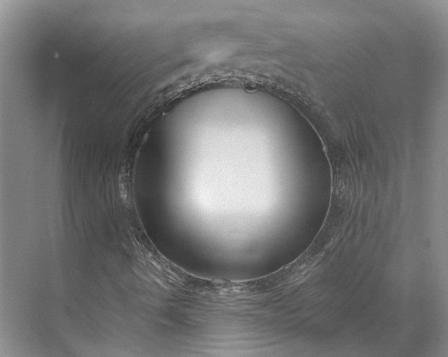 X0000073521490200608140946