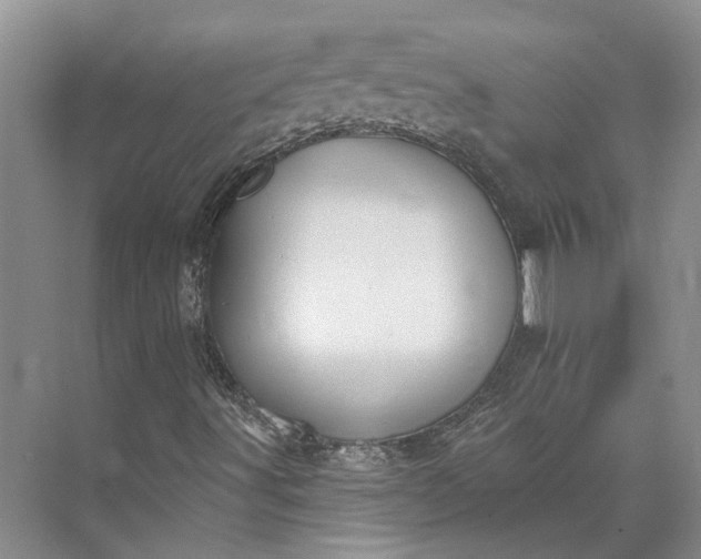 X0000073521491200608140946