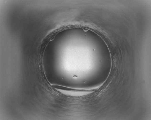 X0000073521494200608140946