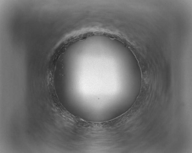 X0000073521495200608140946