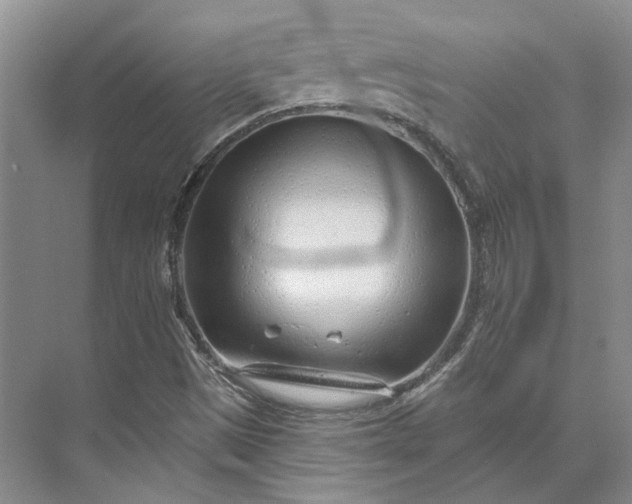 X0000073521497200608140946