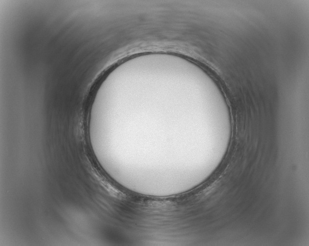 X0000073521498200608140946