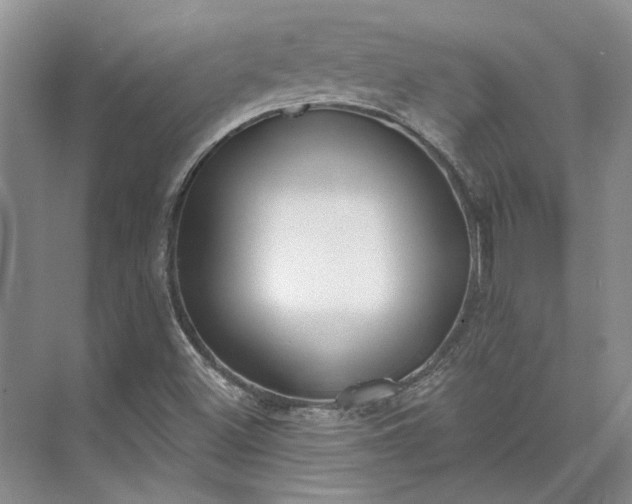 X0000073521500200608140946