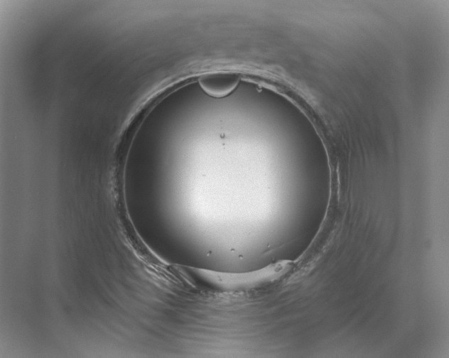 X0000073521501200608140946