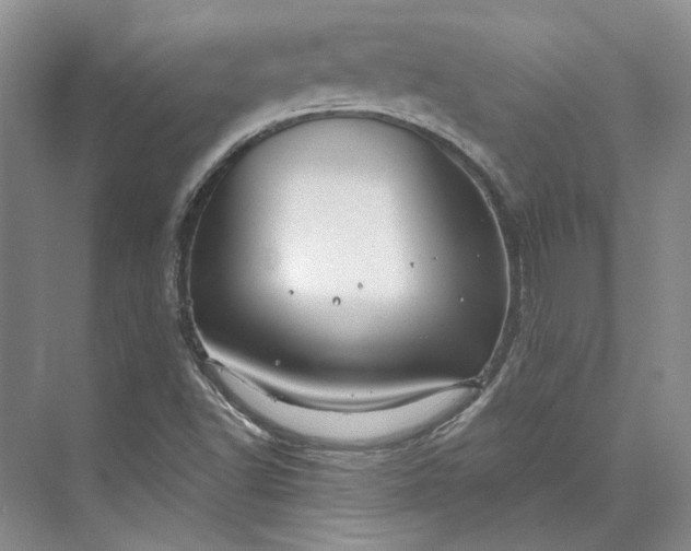 X0000073521502200608140946