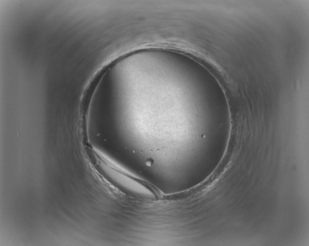 X0000073521506200608140946