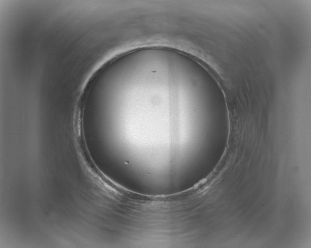 X0000073521510200608140947