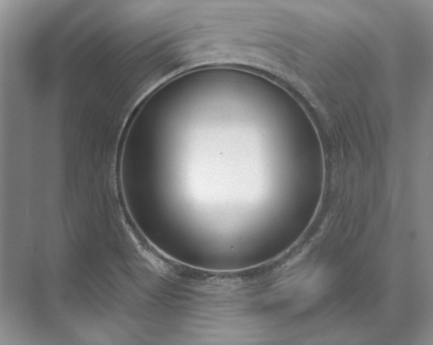 X0000073521513200608140947