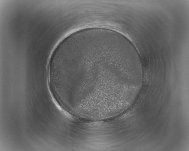 X0000073521515200608140947