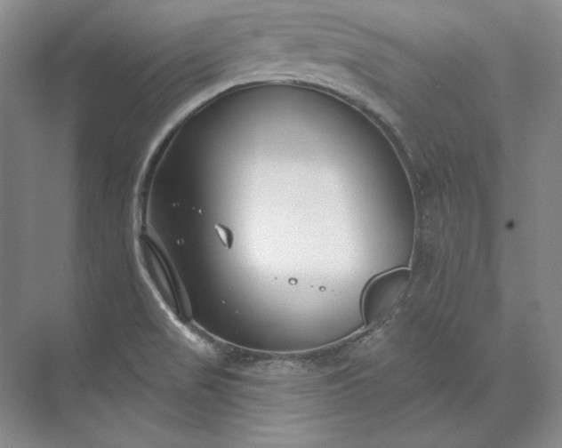 X0000073521517200608140947