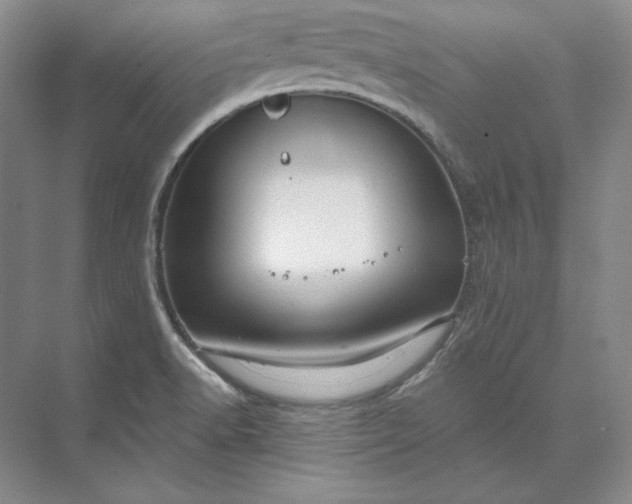 X0000073521518200608140947