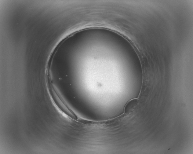 X0000073521519200608140947