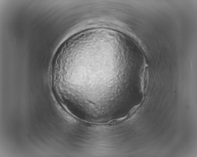 X0000073521522200608140947