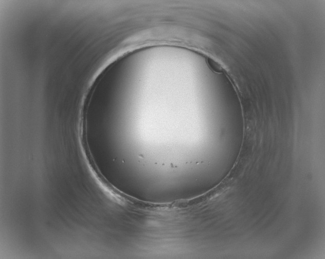 X0000073521523200608140947