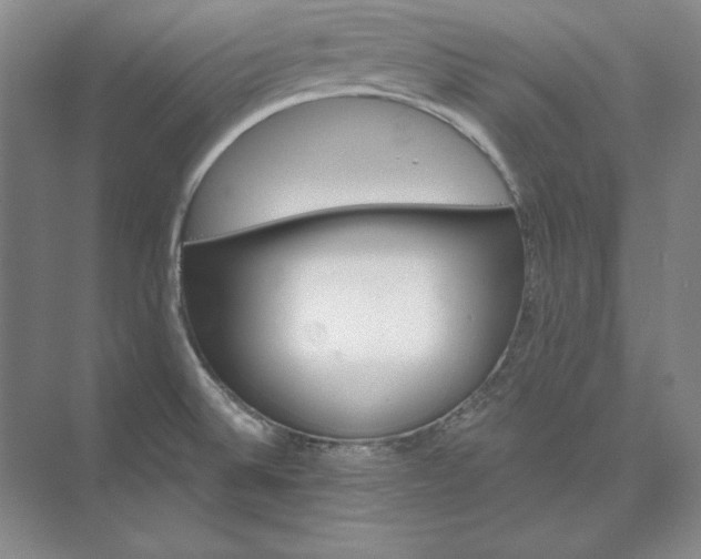 X0000073521524200608140947