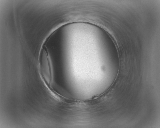 X0000073521525200608140947