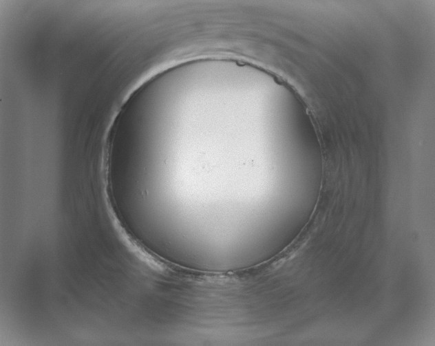 X0000073521526200608140947