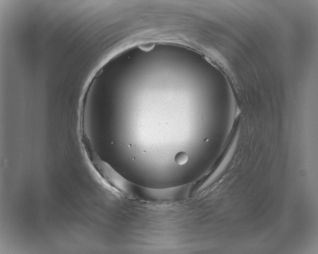 X0000073521528200608140947