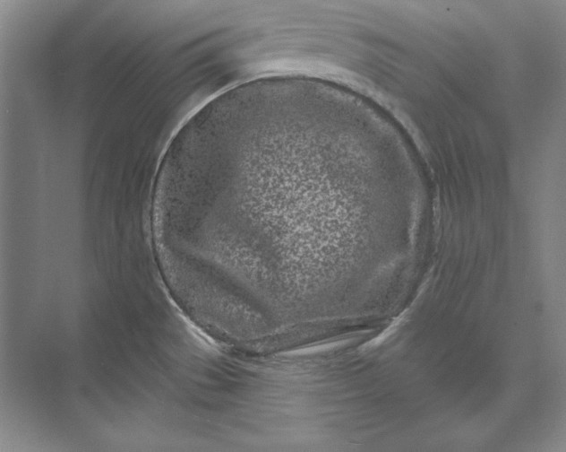 X0000073521529200608140947