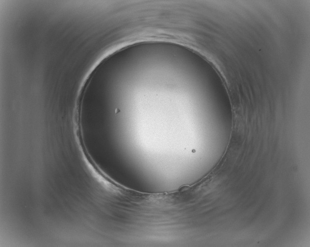 X0000073521531200608140947