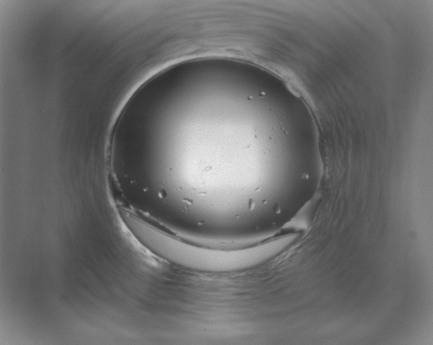 X0000073521532200608140947