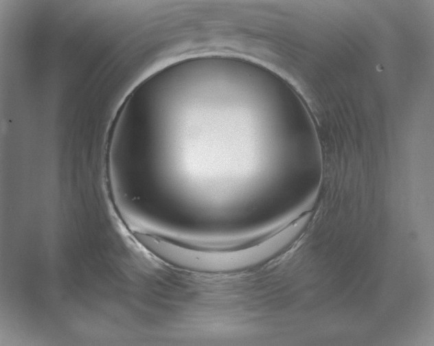 X0000073521534200608140947