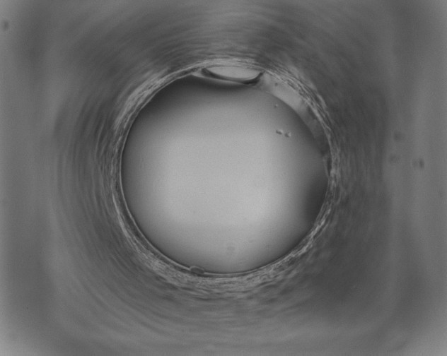 X0000073520001200608211816